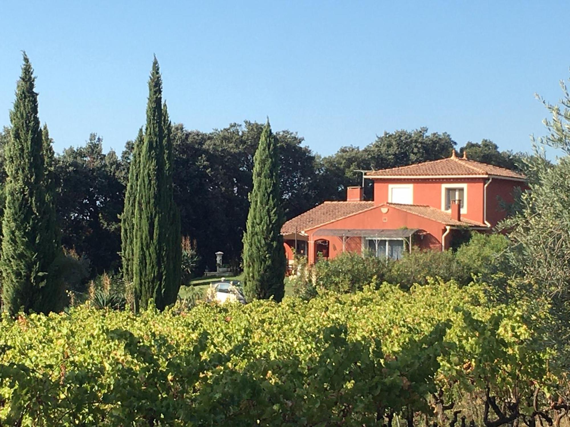 Domaine Des Lavarines Morieres-les-Avignon Exterior photo